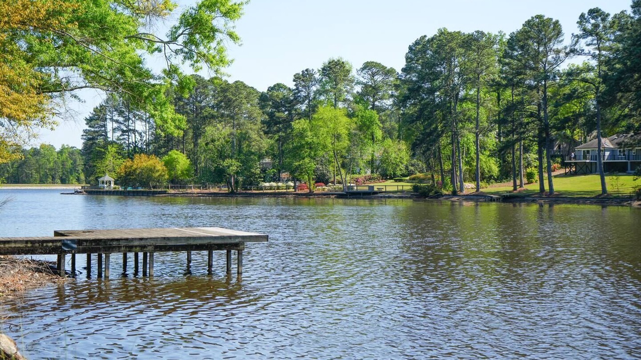 Photo of Others in Terry Sanford