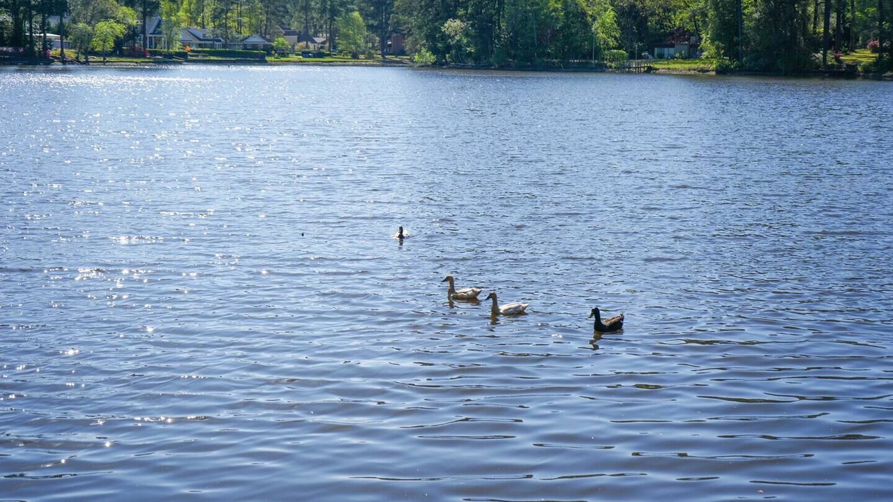 Photo of Others in Terry Sanford