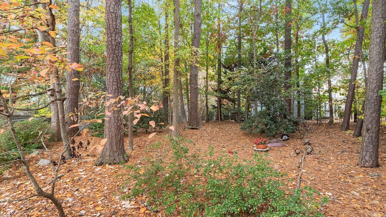 Photo of Outdoor in North Raleigh