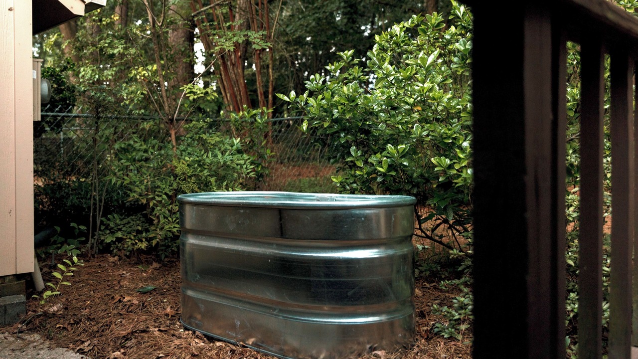 Photo of Outdoor in North Raleigh