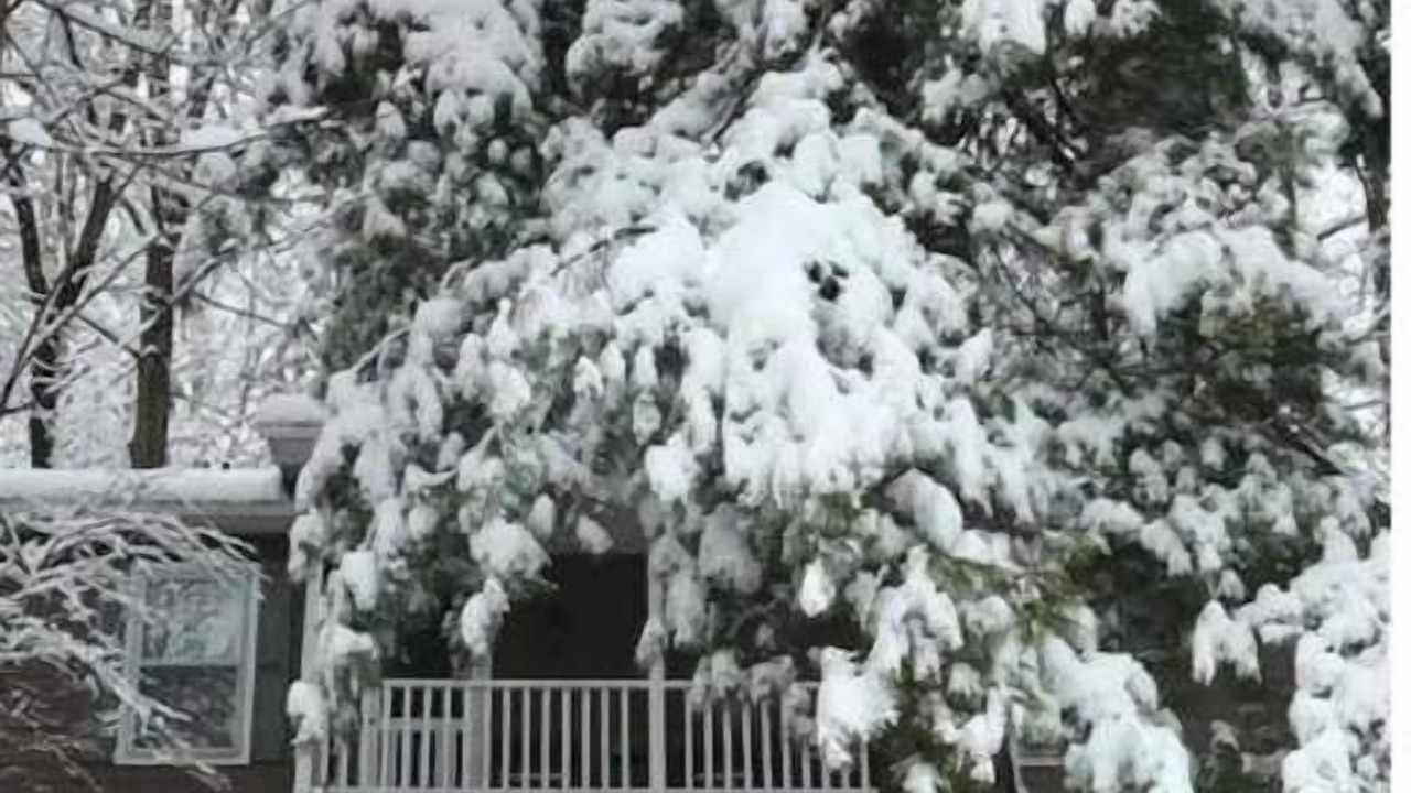 Photo of Outdoor in Saluda