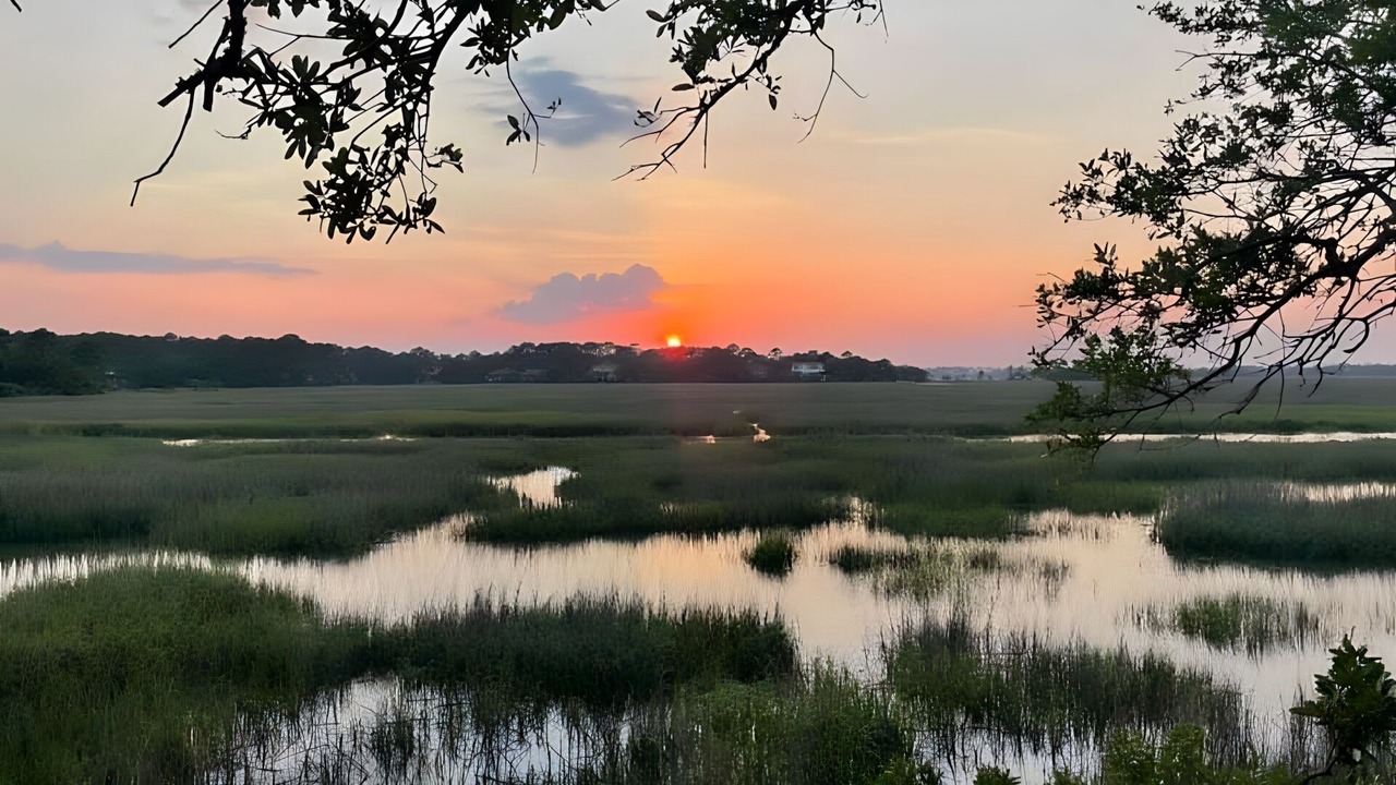 Photo of Others in Saint Helena Island