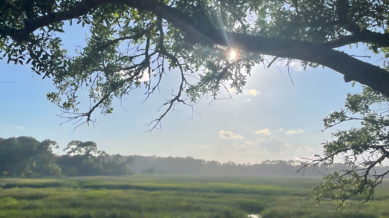Photo of Others in Saint Helena Island