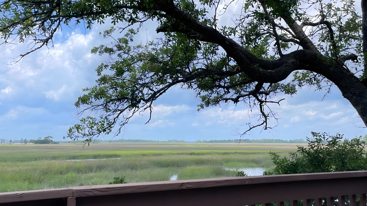 Photo of Others in Saint Helena Island