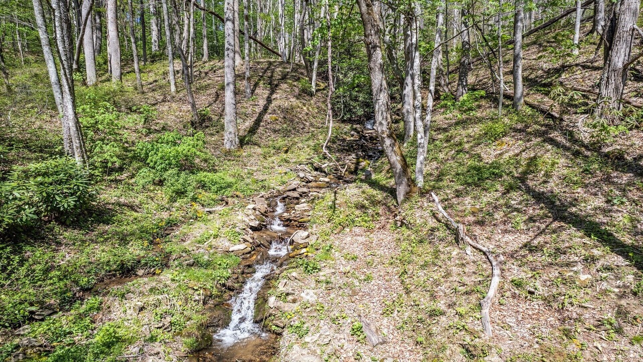 Photo of Others in Mountain Springs