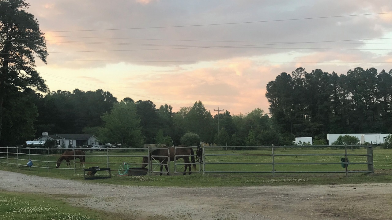 Photo of Outdoor in Burgaw
