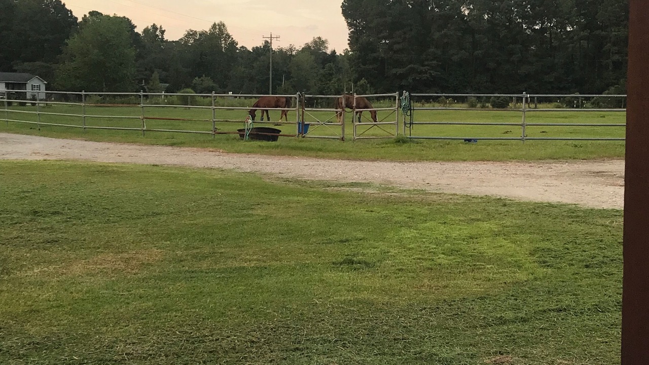Photo of Outdoor in Burgaw
