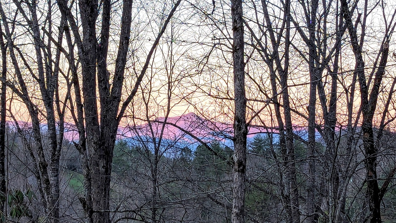 Photo of Others in Sylva