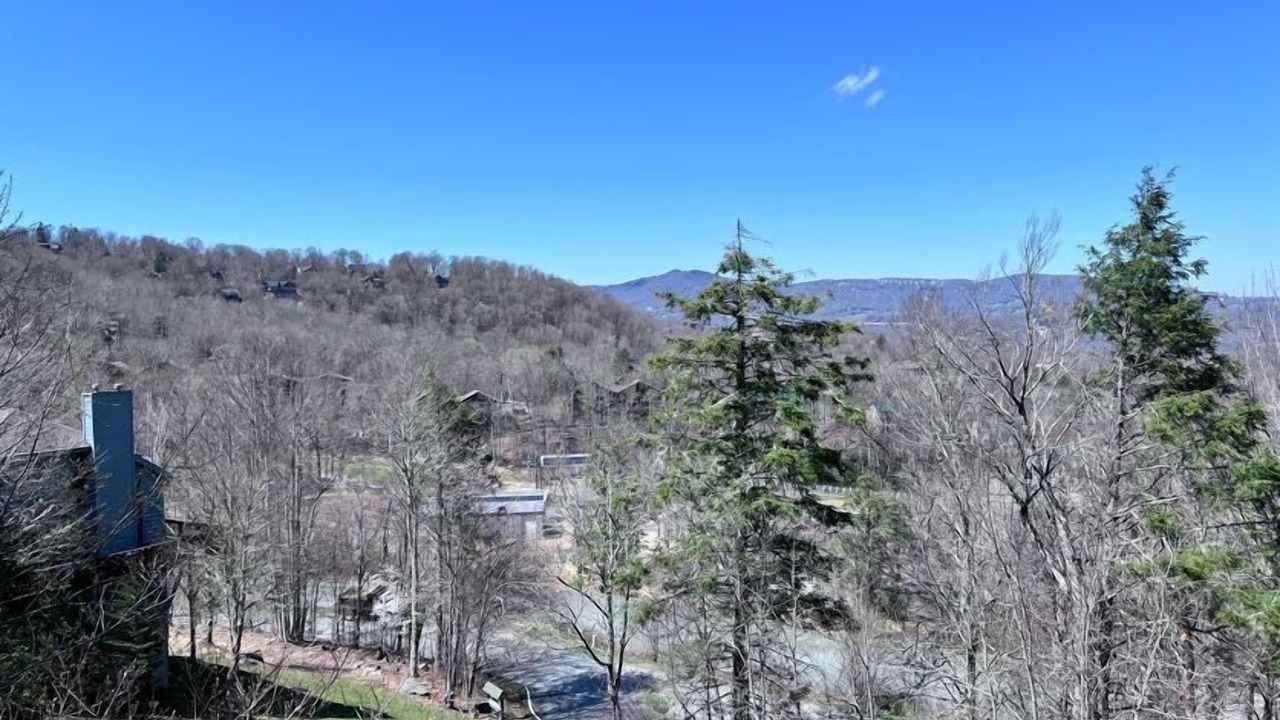 Photo of Others in Sugar Mountain