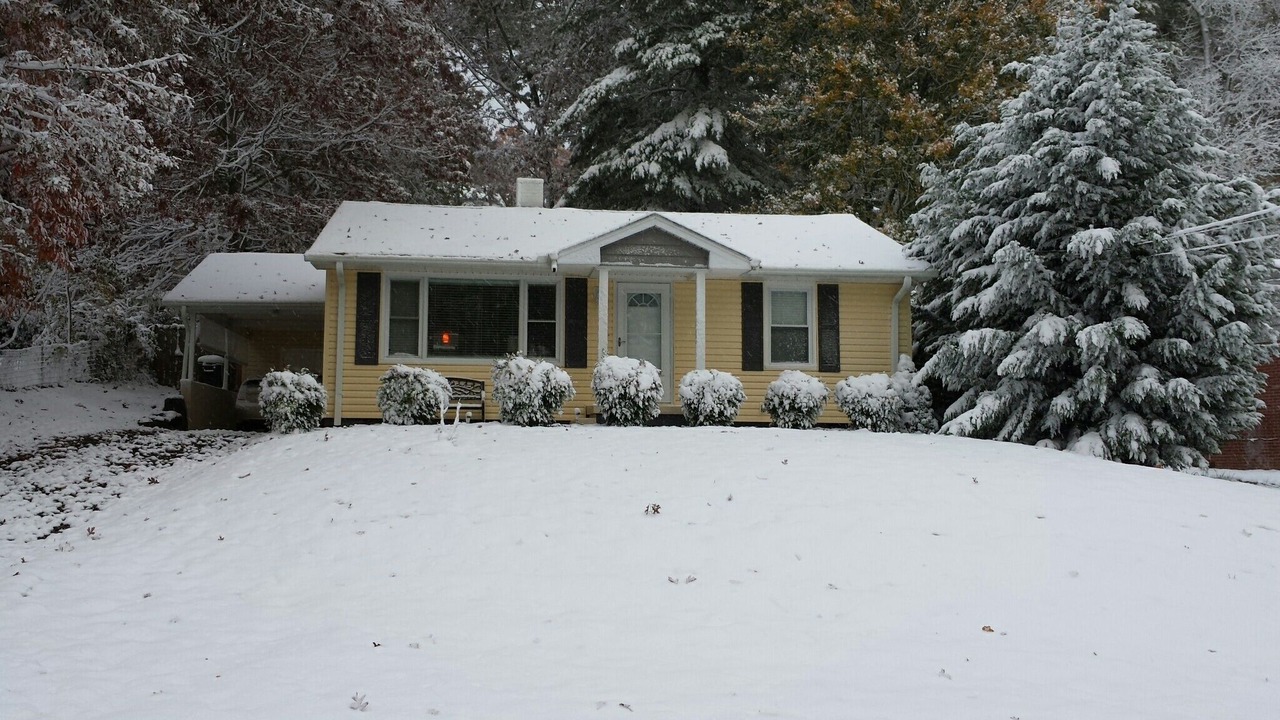 Photo of Livingroom in Royal Pines