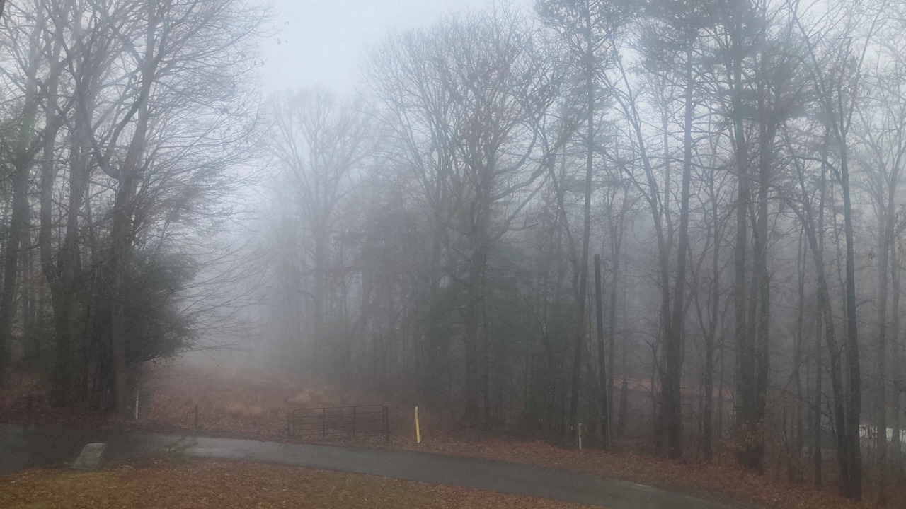 Photo of Others in Candler