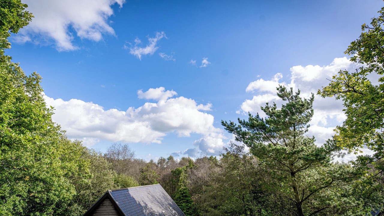 Photo of Outdoor in Farley