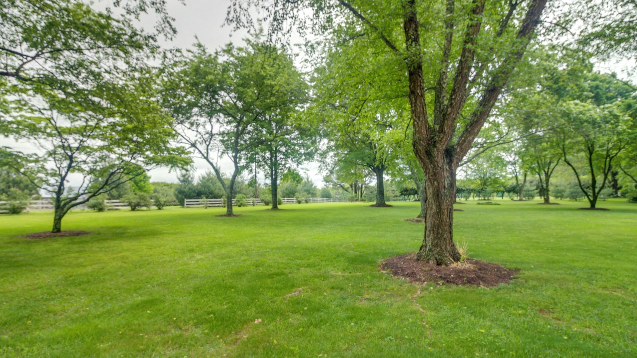 Photo of Outdoor in Vale