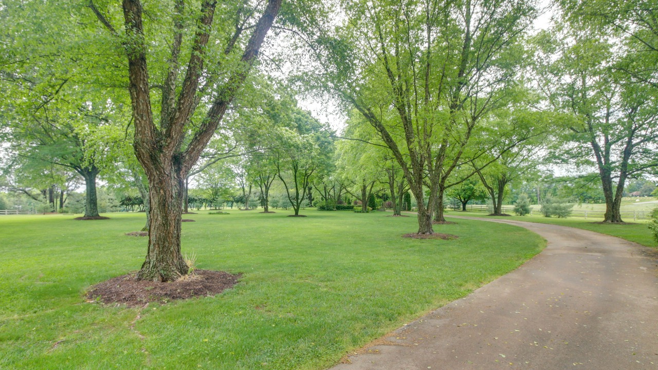 Photo of Outdoor in Vale
