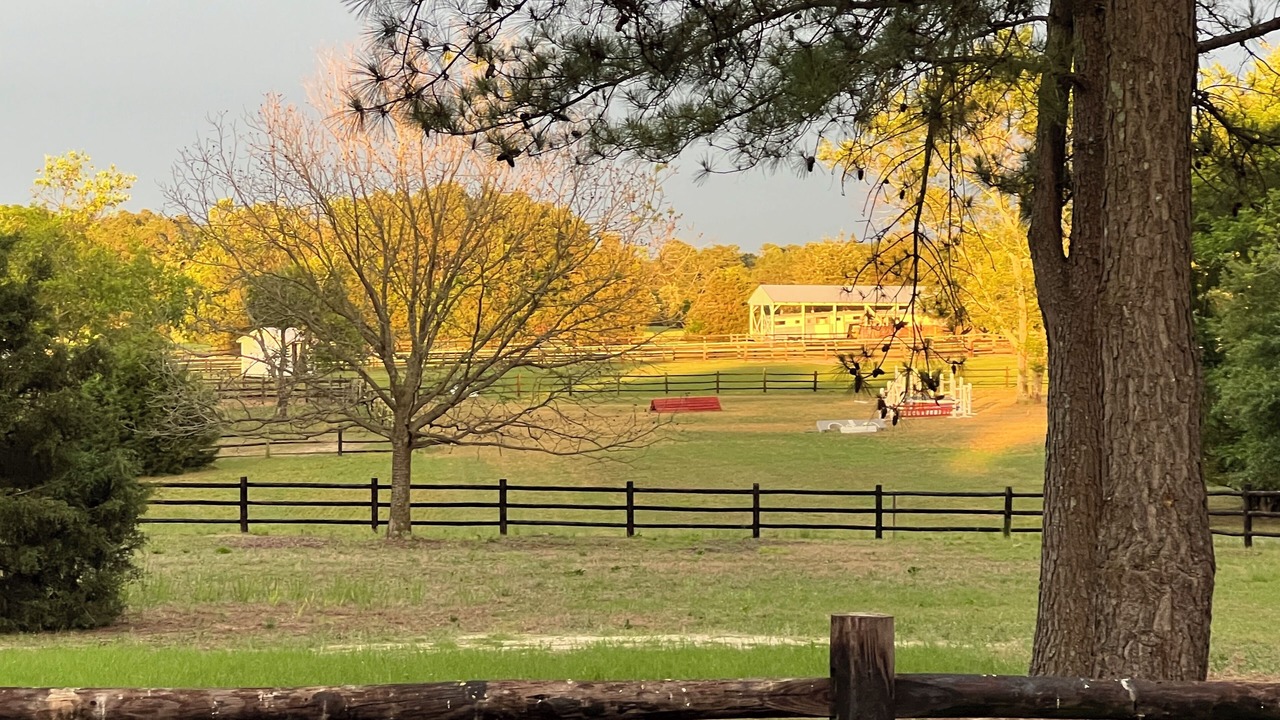 Photo of Outdoor in Southern Pines