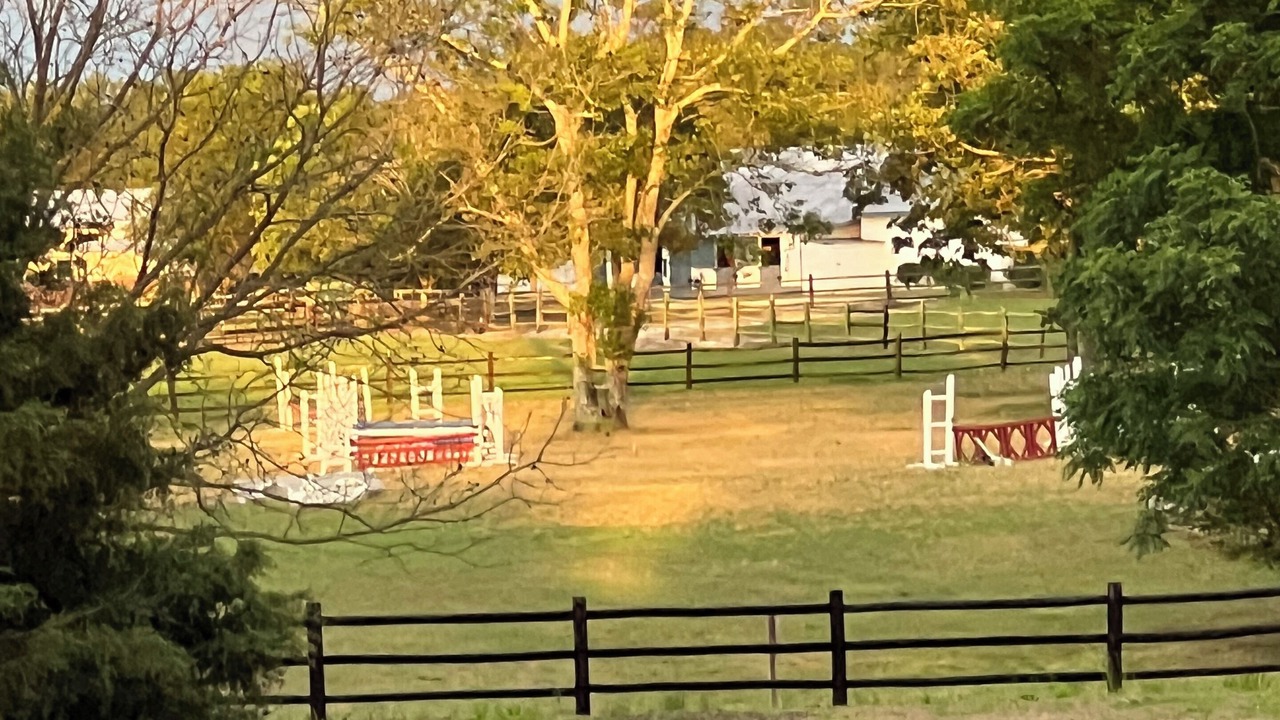 Photo of Outdoor in Southern Pines