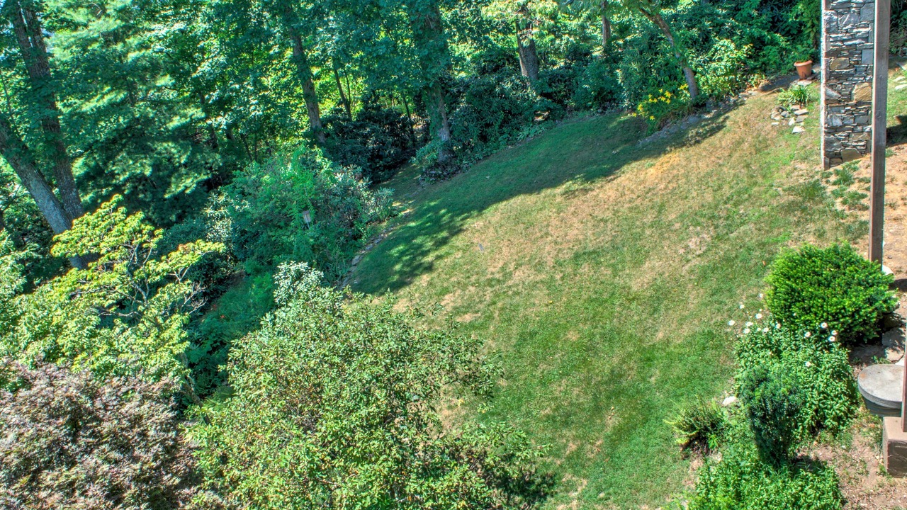 Photo of Others in Laurel Park