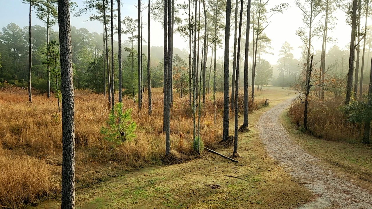 Photo of Outdoor in Hobucken