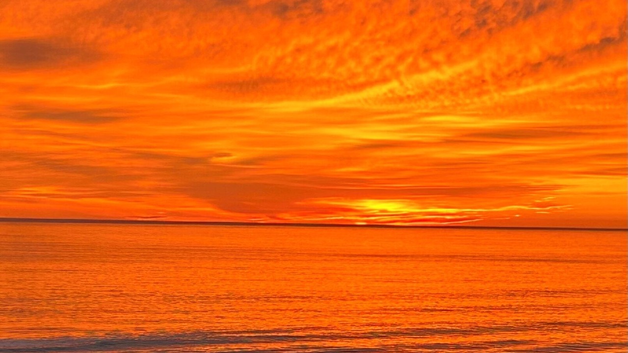 Photo of Others in Southern Shores