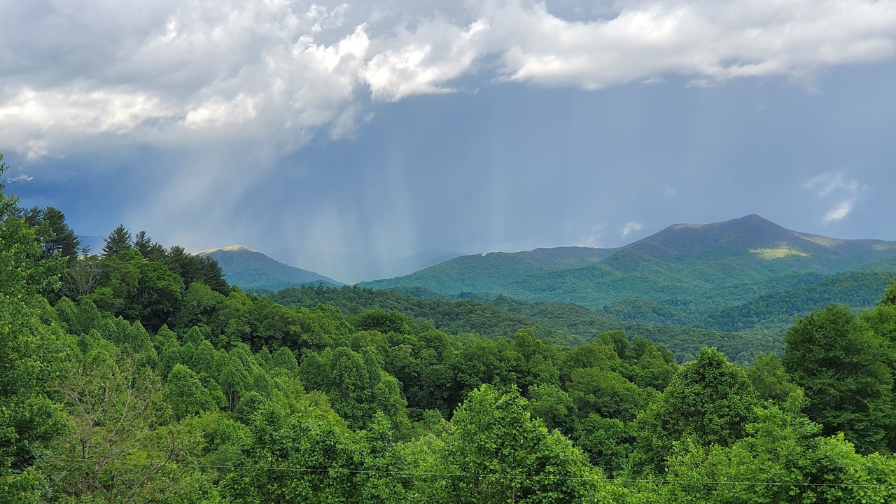 Photo of Outdoor in Sylva
