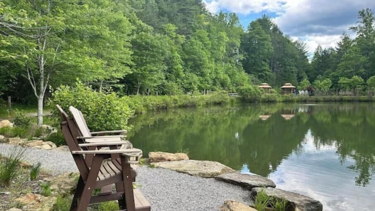 Photo of Outdoor in Purlear