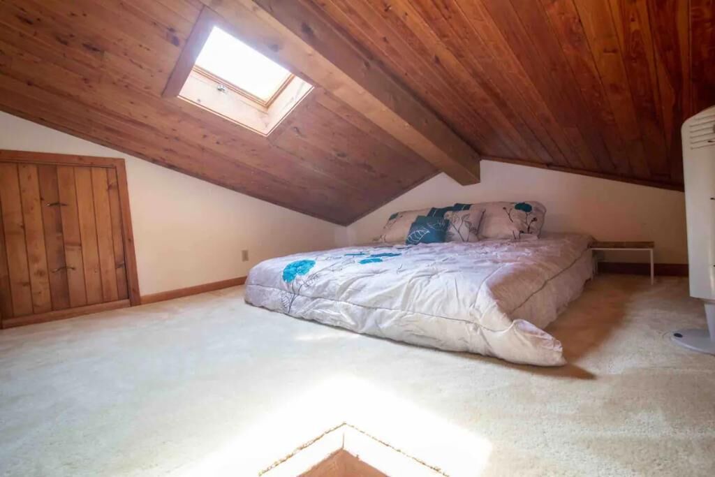 Photo of Bedroom in Sea Scape