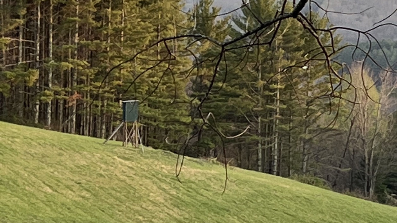 Photo of Others in Laurel Springs