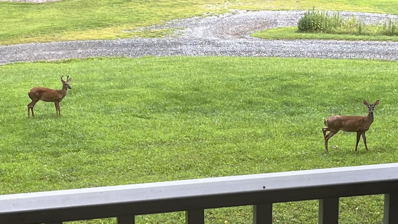Photo of Outdoor in Laurel Springs