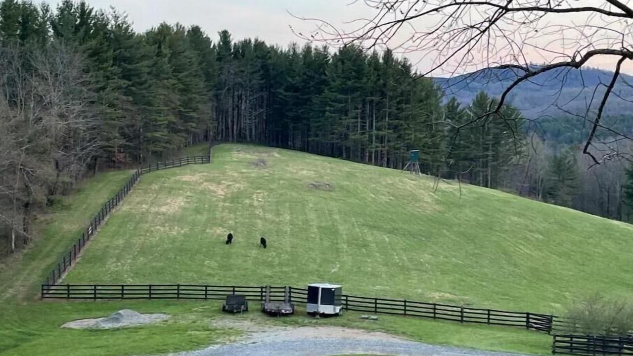Photo of Others in Laurel Springs