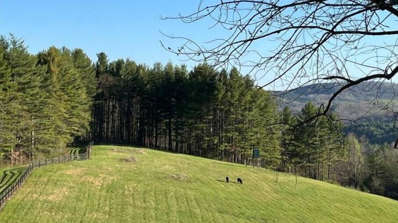 Photo of Others in Laurel Springs