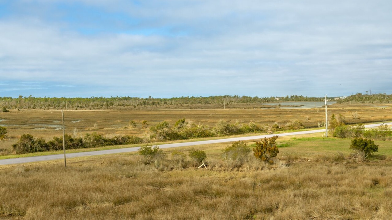 Photo of Others in Oak Hammock