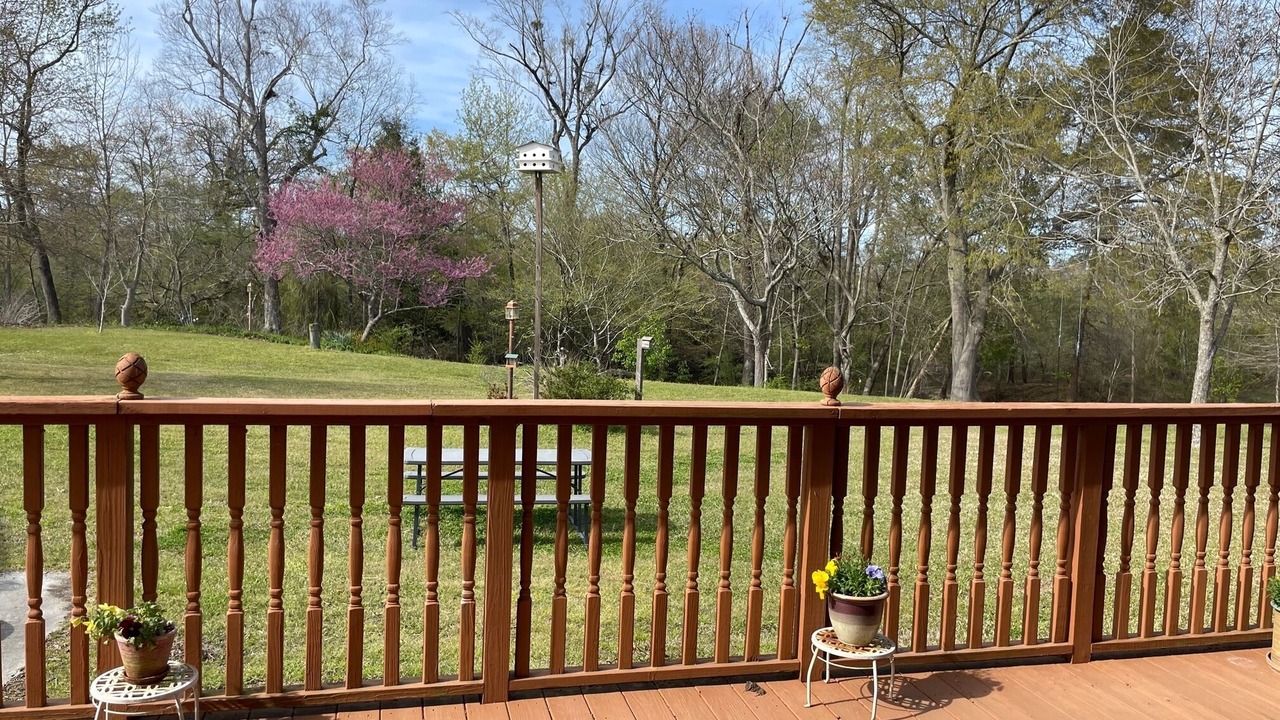 Photo of Outdoor in Deep Run