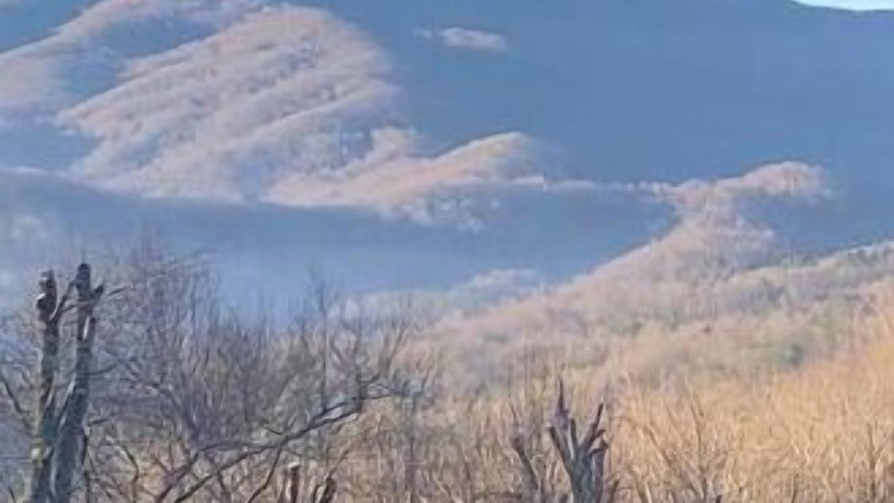Photo of Others in Boone