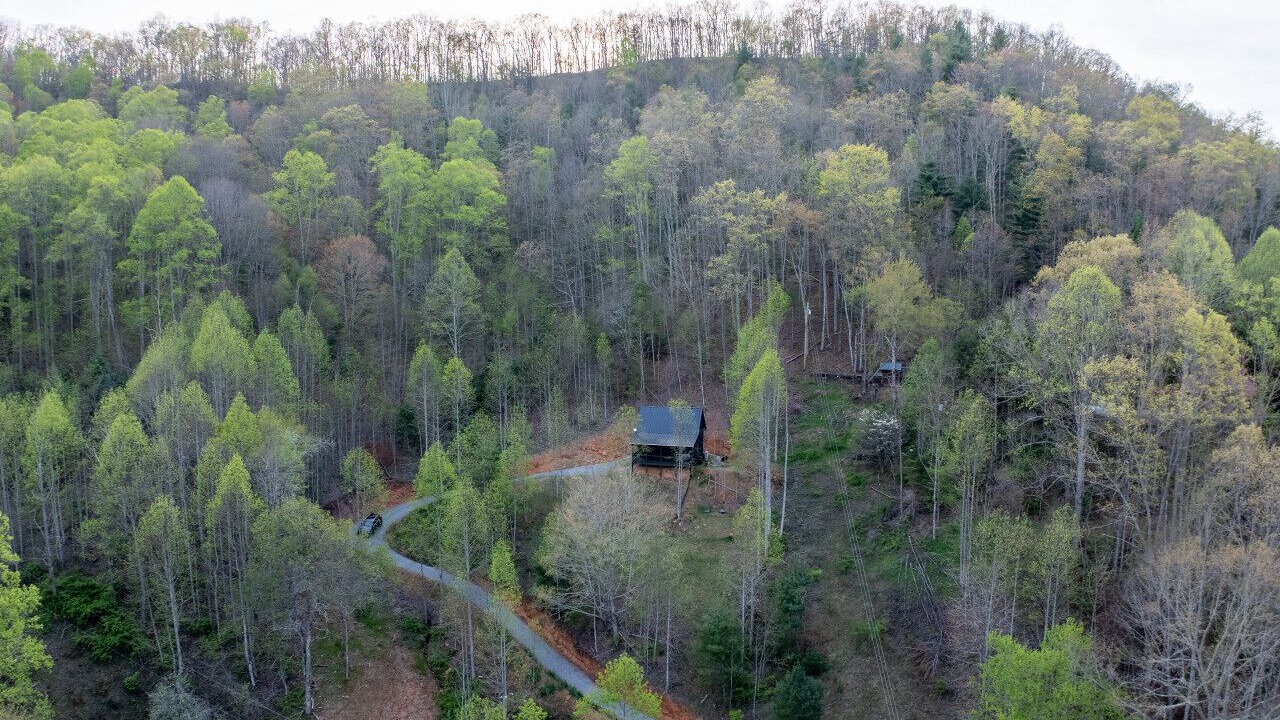 Photo of Outdoor in Sylva