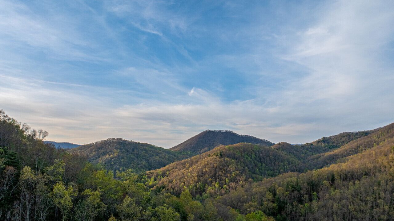 Photo of Outdoor in Sylva