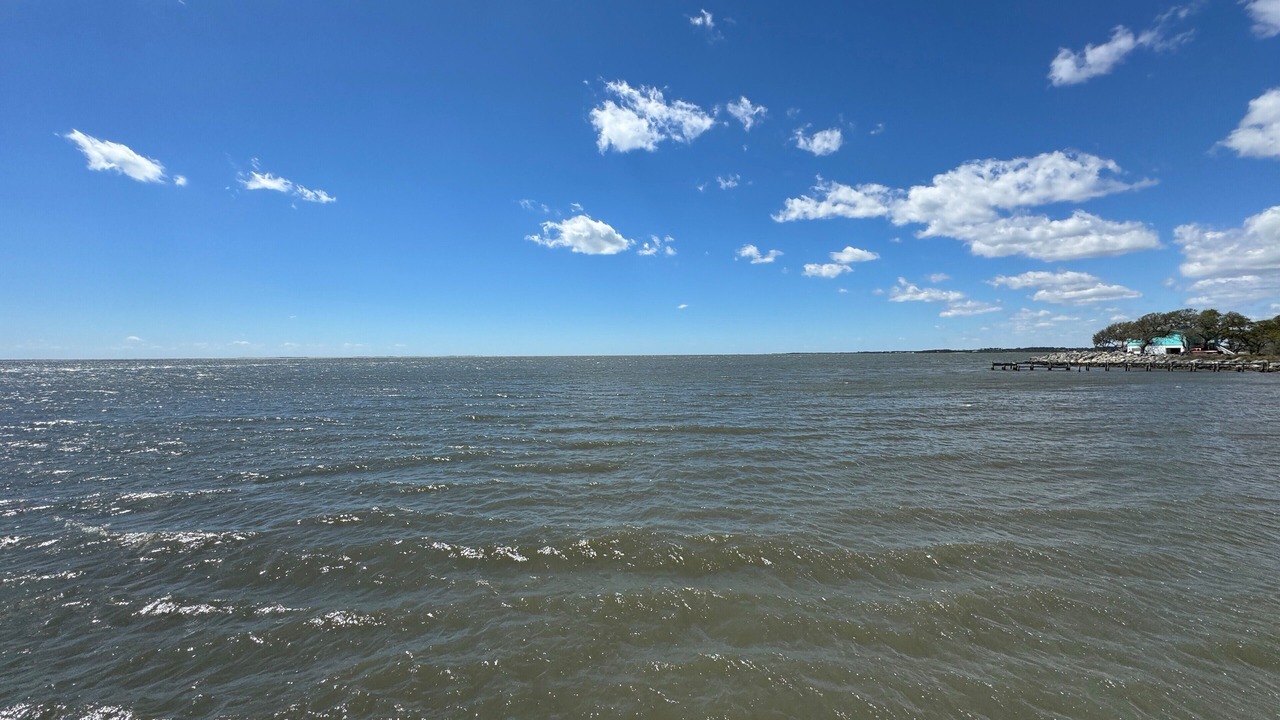 Photo of Others in Carteret County