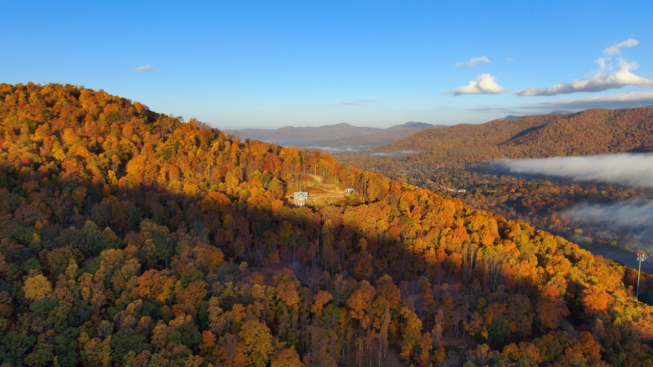 Photo of Others in Swannanoa