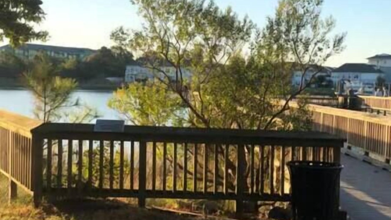 Photo of Others in East Ocean View