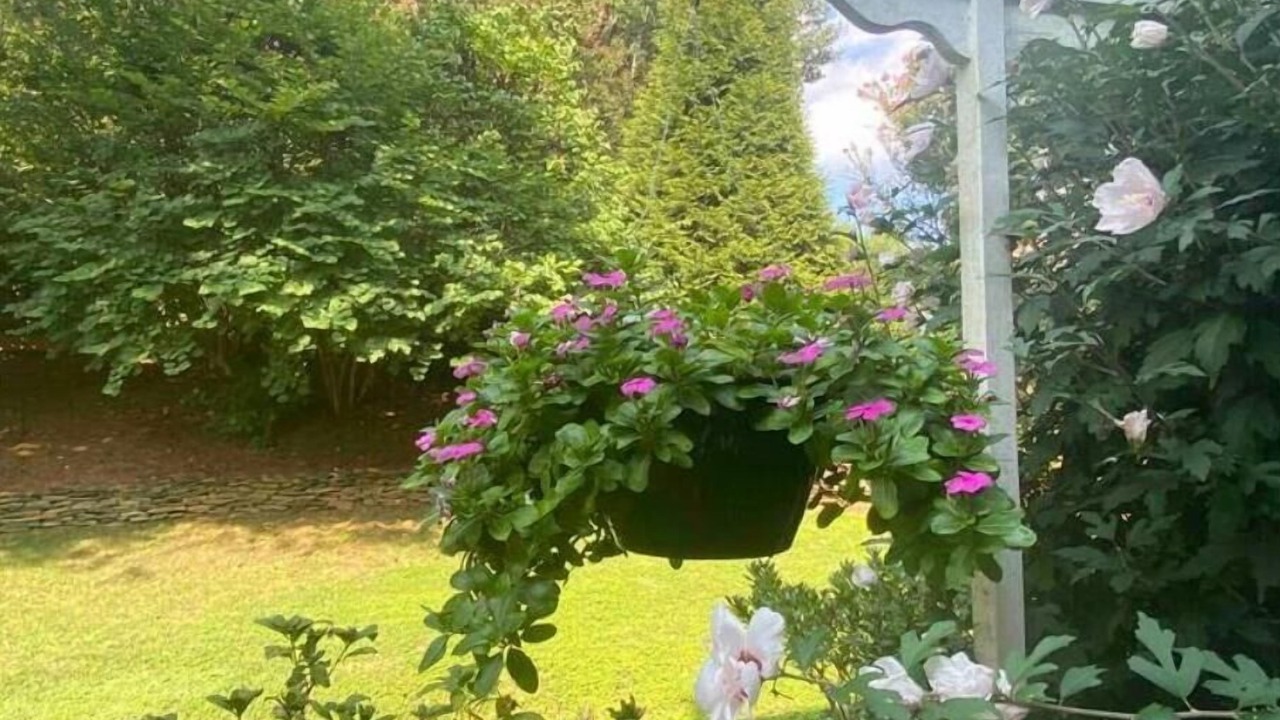 Photo of Outdoor in Winston - Salem