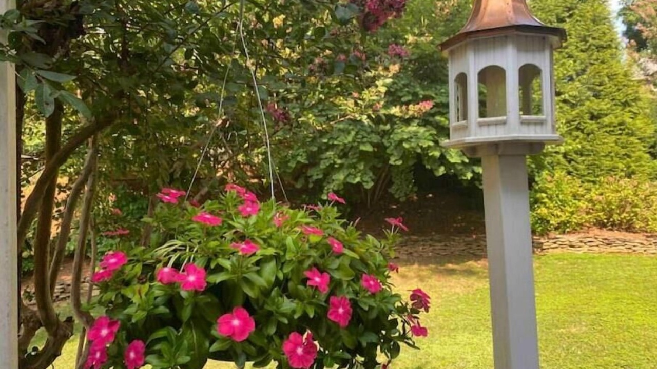 Photo of Outdoor in Winston - Salem