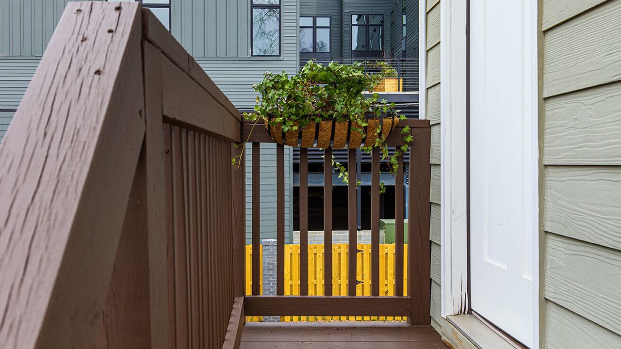 Photo of Outdoor in NoDa