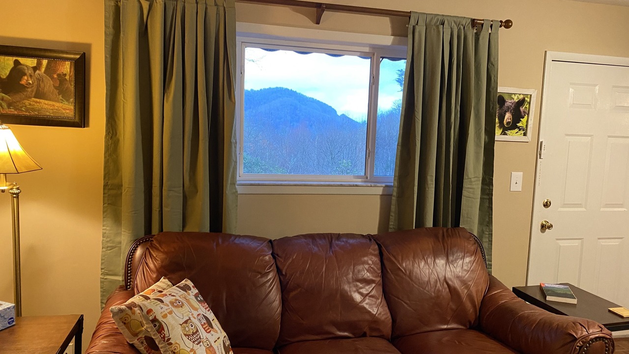 Photo of Livingroom in Spruce Pine