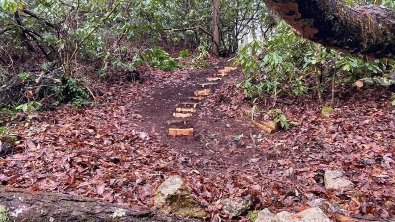 Photo of Outdoor in Spruce Pine