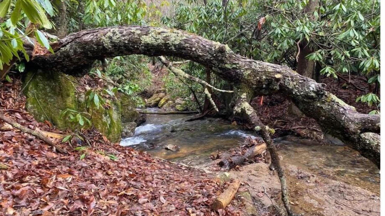 Photo of Outdoor in Spruce Pine
