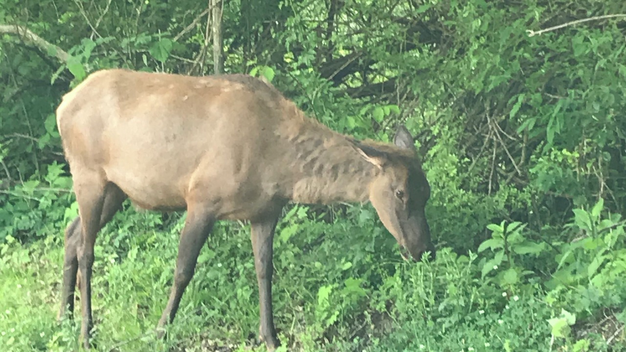 Photo of Others in Franklin
