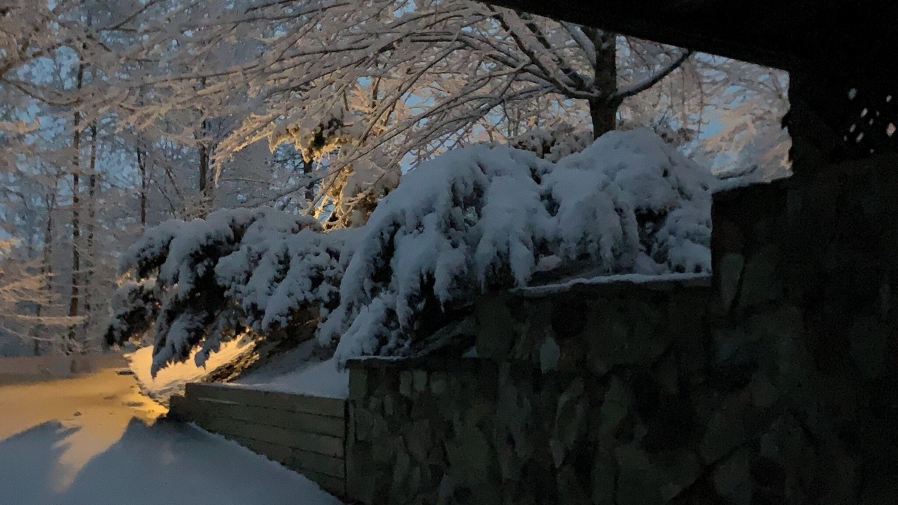 Photo of Outdoor in Boomer