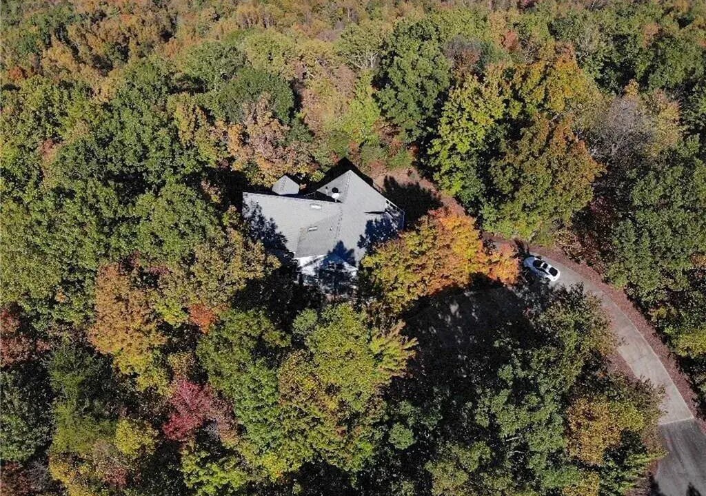 Photo of Outdoor in Boomer