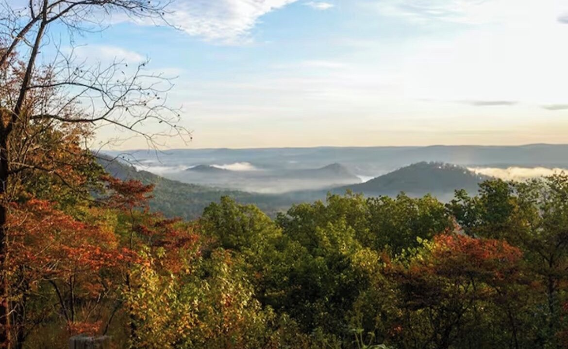 Photo of Others in Albemarle