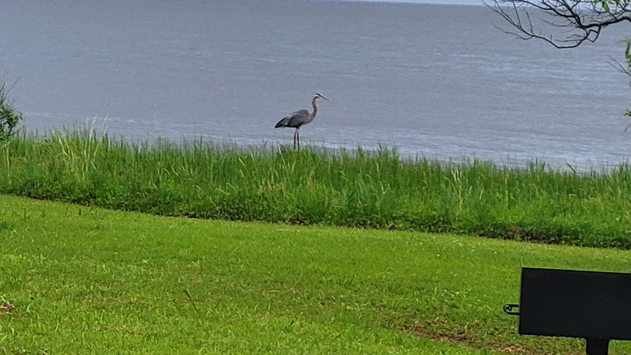 Photo of Outdoor in Columbia