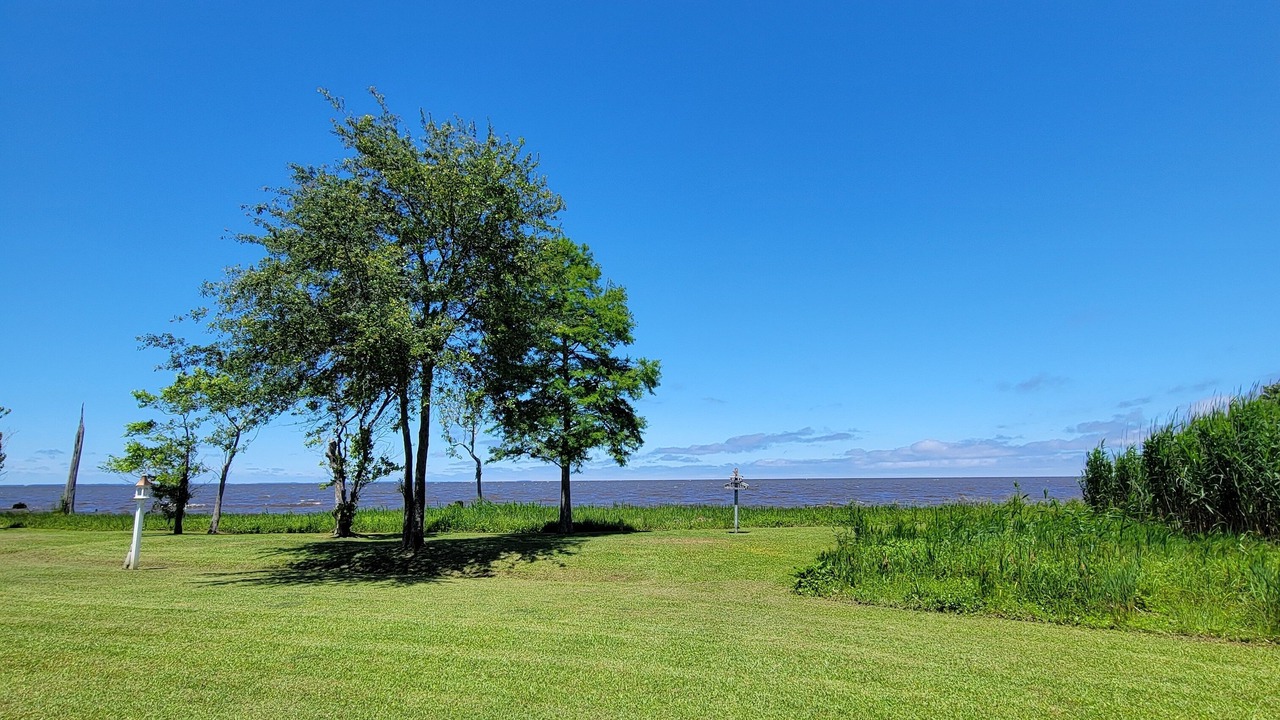Photo of Outdoor in Columbia
